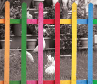 Creative Photography and Editing - St. Joseph's College