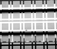 Monochrome Photography - Montfort School