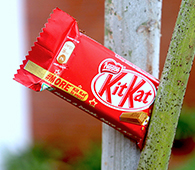 Product photography - Mount Litera Zee School, Trichy