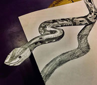 Artwork by Class 7