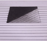 Illusion drawings - Jain Vidyalaya