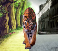 Celebrating Save Tigers Day - Mount Litera Zee School